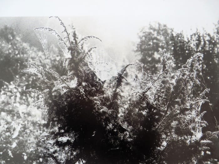 Світлина Богдана Тихолоза