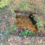 Джерело №5 «Емма», 13.11.2018