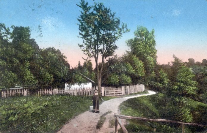 Село Трускавець, місцевість "Городище", поч. ХІХ ст.